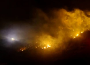 Araklı'da Orman Yangını Hala Devam Ediyor