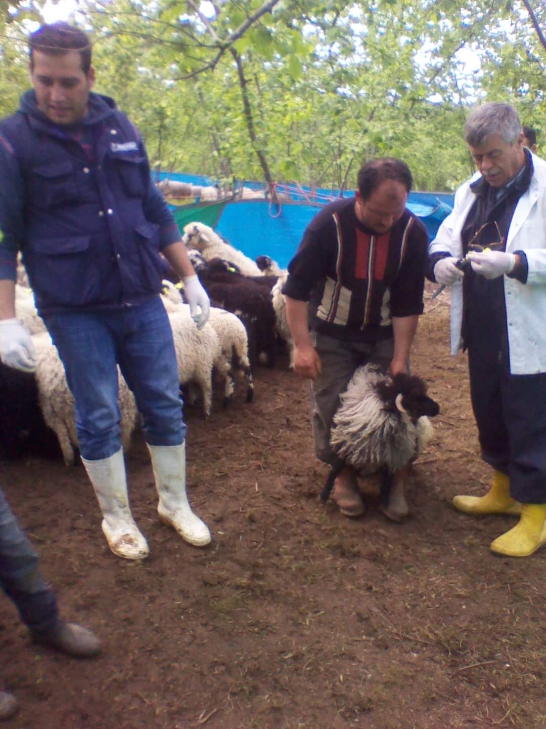Araklı'ya bir üzücü haber daha, Kaybettik