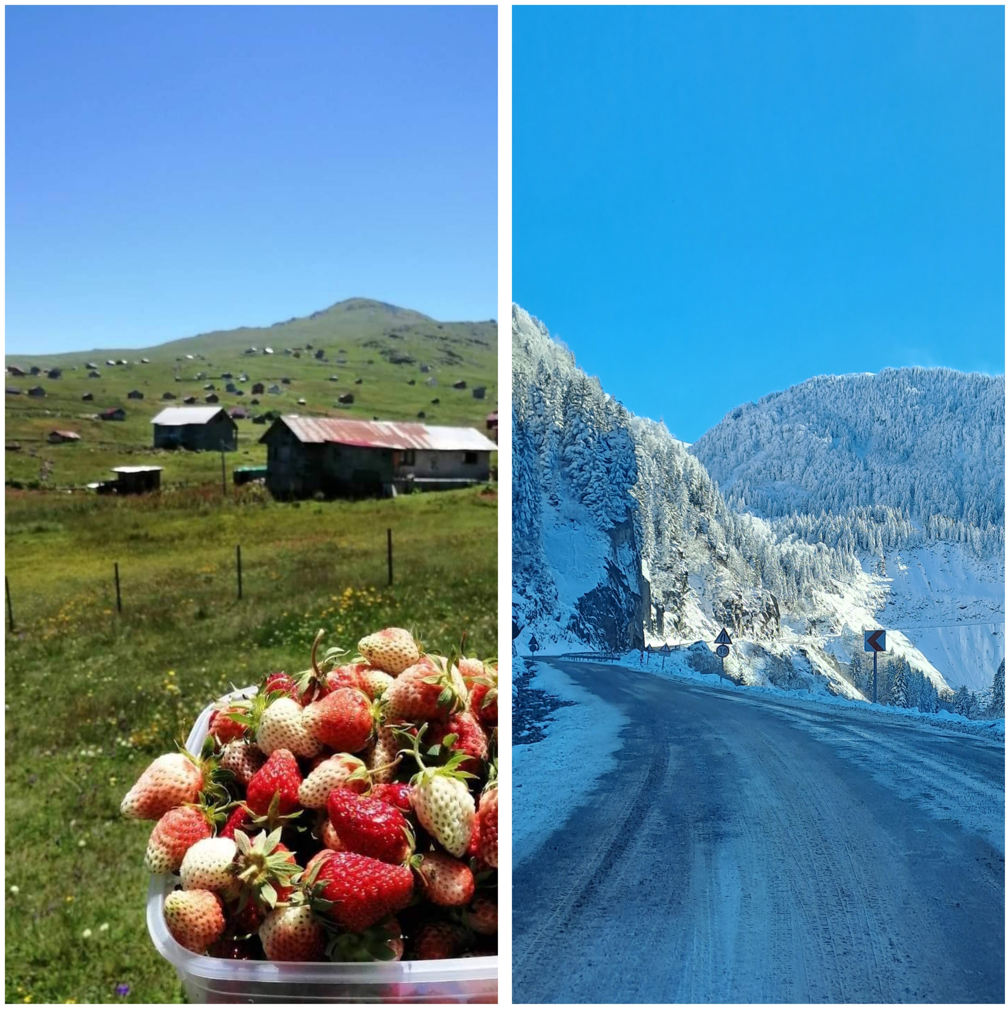 Araklı'ya "Darbe" vuran O karar unutulmuyor